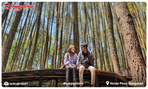 Paket Wisata Jogja Hutan Pinus Mangunan