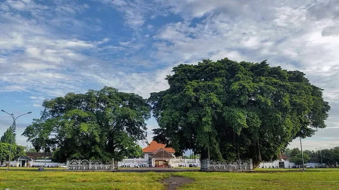 Paket Wisata Jogja Alun-alun selatan 4
