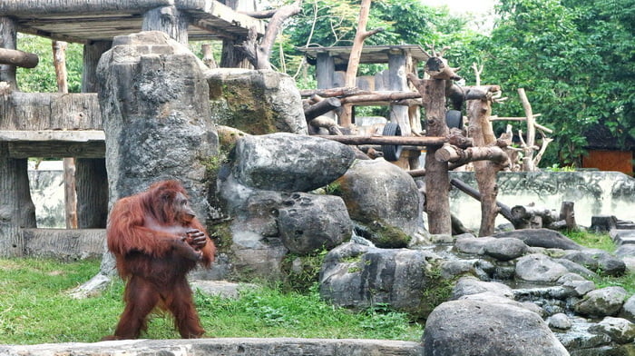 Paket Wisata Jogja Gembira Loka Zoo 3