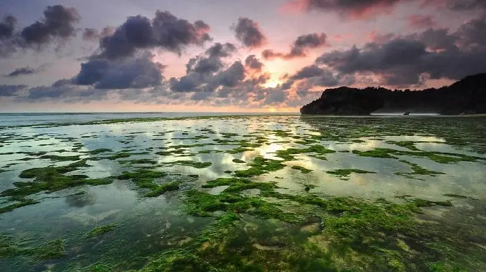 Pantai Kukup Jogja