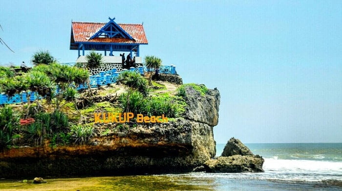 Wisata Jogja Pantai Kukup Harga Tiket Masuk Rute Lokasi