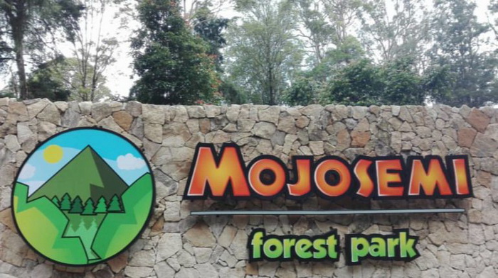 Wisata Solo Mojosemi Forest Park