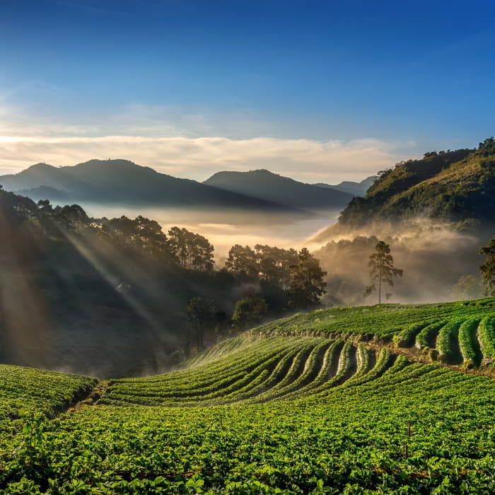 Paket tour dan wisata Malang