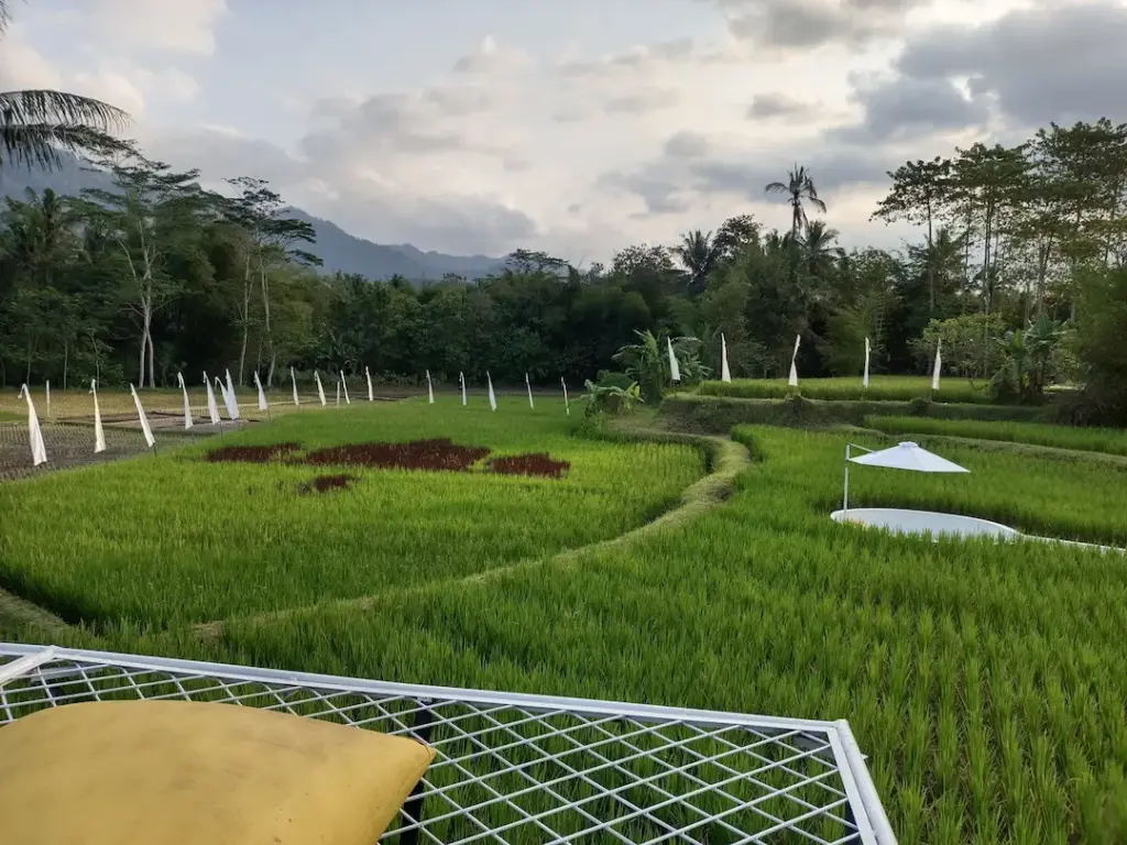 tempat wisata magelang