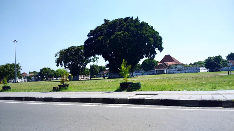 Alun Alun Kidul Yogyakarta-Spot Jogging di Jogja