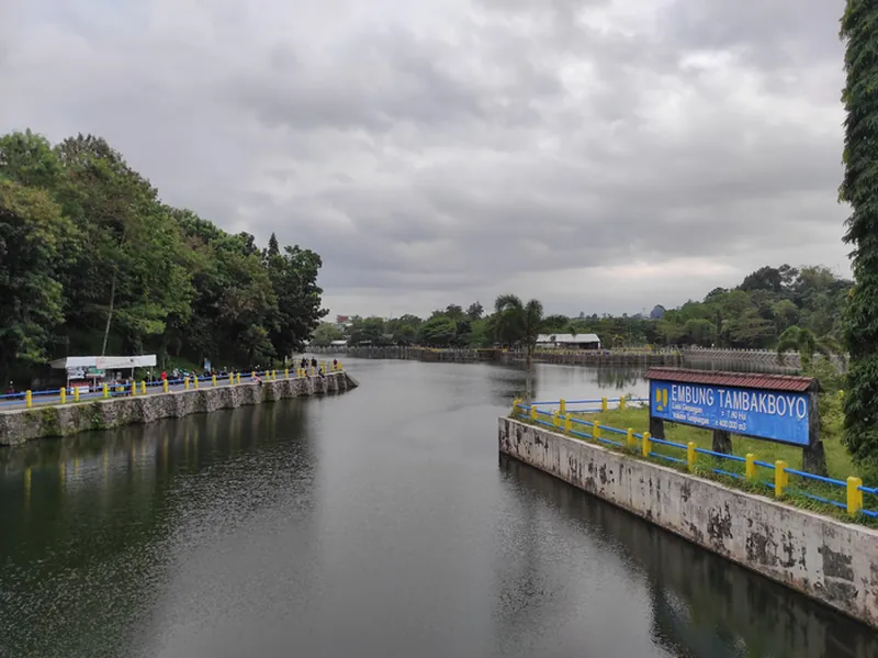 Embung Tambakboyo Sleman-Jogging di Jogja