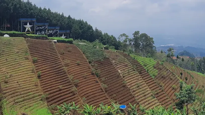 Tempat Wisata Murah di Bandung - Bukit Moko